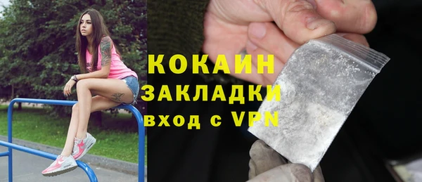 шишки Бронницы