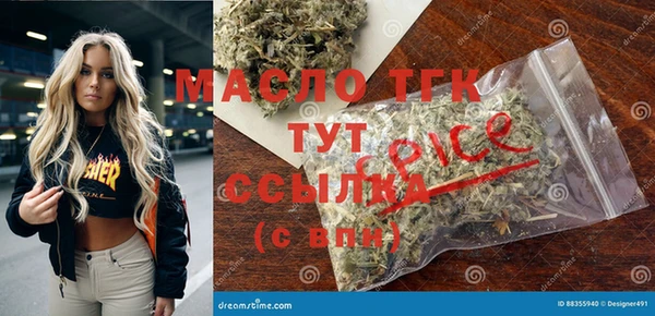 ешки Бородино