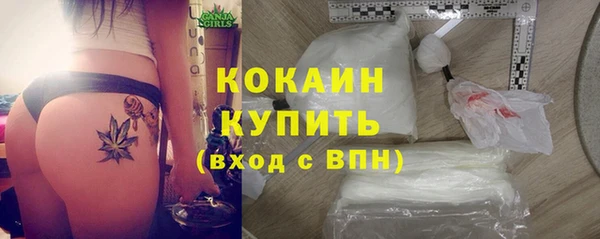 шишки Бронницы