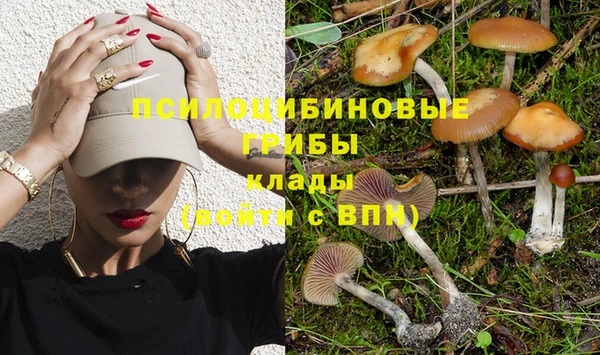 ешки Бородино