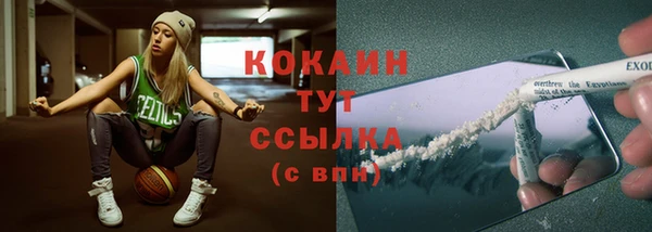 шишки Бронницы