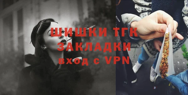 шишки Бронницы