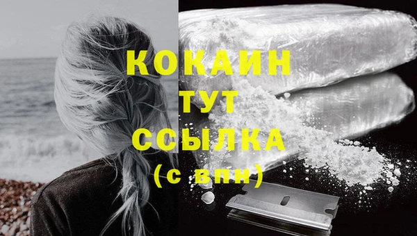 шишки Бронницы