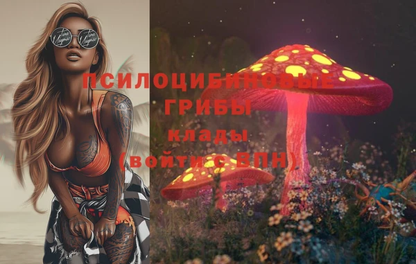 твердый Бугульма