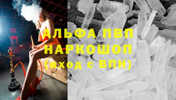 ешки Бородино