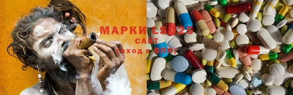 шишки Бронницы