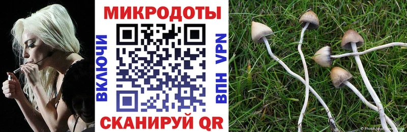 Псилоцибиновые грибы прущие грибы  Купить где  Новосокольники 